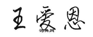 駱恆光王愛恩行書個性簽名怎么寫