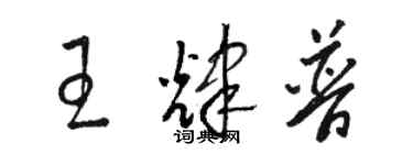 駱恆光王輝普草書個性簽名怎么寫