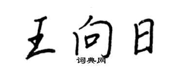 王正良王向日行書個性簽名怎么寫