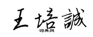王正良王培誠行書個性簽名怎么寫