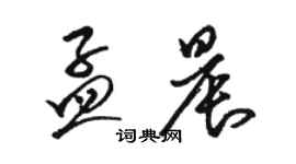 駱恆光孟晨草書個性簽名怎么寫