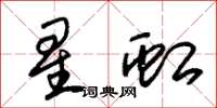 朱錫榮星虹草書怎么寫