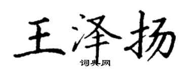 丁謙王澤揚楷書個性簽名怎么寫