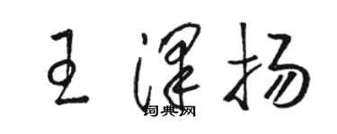 駱恆光王澤揚草書個性簽名怎么寫