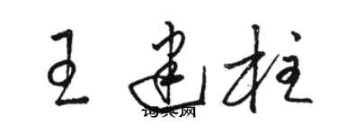駱恆光王建柱草書個性簽名怎么寫