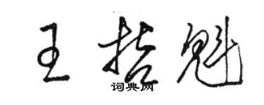 駱恆光王哲魁草書個性簽名怎么寫