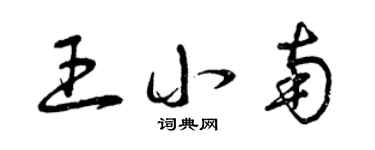 曾慶福王小南草書個性簽名怎么寫