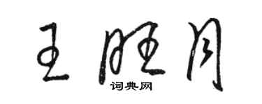 駱恆光王旺月草書個性簽名怎么寫