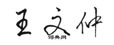 駱恆光王文仲行書個性簽名怎么寫