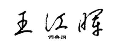 梁錦英王江暉草書個性簽名怎么寫