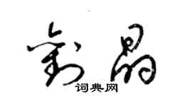 梁錦英劉晶草書個性簽名怎么寫