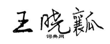 曾慶福王曉瓤行書個性簽名怎么寫