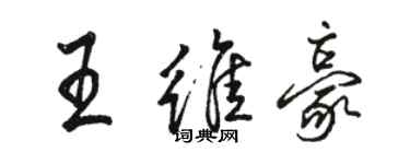駱恆光王維豪行書個性簽名怎么寫