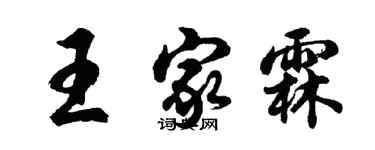 胡問遂王家霖行書個性簽名怎么寫
