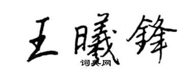 王正良王曦鋒行書個性簽名怎么寫