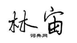 曾慶福林宙行書個性簽名怎么寫