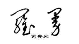 梁錦英羅曼草書個性簽名怎么寫