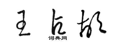 駱恆光王占胡草書個性簽名怎么寫
