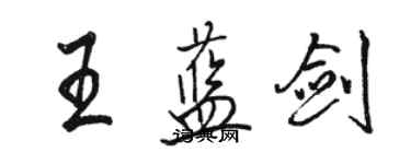 駱恆光王藍劍行書個性簽名怎么寫