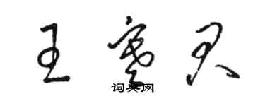 駱恆光王寒君草書個性簽名怎么寫