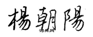 王正良楊朝陽行書個性簽名怎么寫