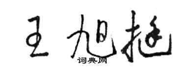 駱恆光王旭挺草書個性簽名怎么寫