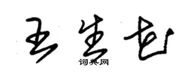 朱錫榮王生花草書個性簽名怎么寫