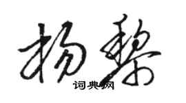 駱恆光楊黎草書個性簽名怎么寫