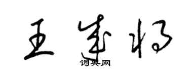 梁錦英王成將草書個性簽名怎么寫