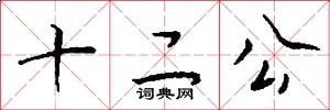 十二公怎么寫好看