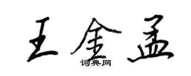 王正良王金孟行書個性簽名怎么寫
