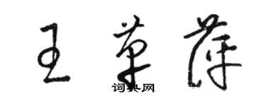 駱恆光王革萍草書個性簽名怎么寫