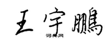 王正良王宇鵬行書個性簽名怎么寫
