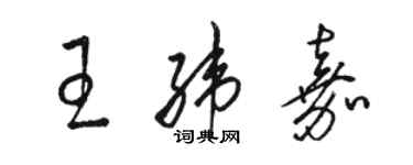 駱恆光王緯嘉草書個性簽名怎么寫