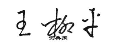 駱恆光王柳平草書個性簽名怎么寫