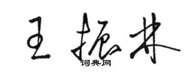 駱恆光王振林草書個性簽名怎么寫