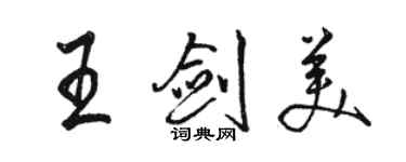 駱恆光王劍美行書個性簽名怎么寫