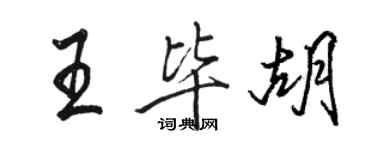 駱恆光王畢胡行書個性簽名怎么寫
