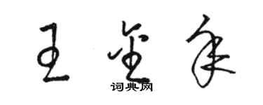 駱恆光王金年草書個性簽名怎么寫