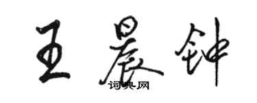 駱恆光王晨鐘行書個性簽名怎么寫