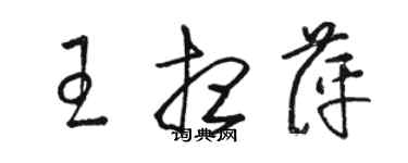 駱恆光王想萍草書個性簽名怎么寫