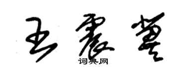 朱錫榮王震冀草書個性簽名怎么寫