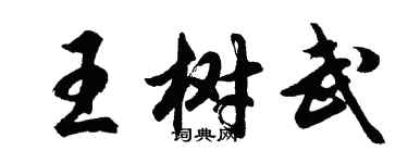 胡問遂王樹武行書個性簽名怎么寫