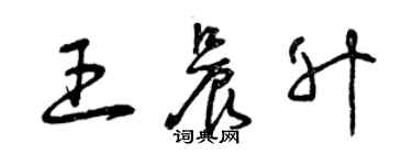 曾慶福王晨升草書個性簽名怎么寫