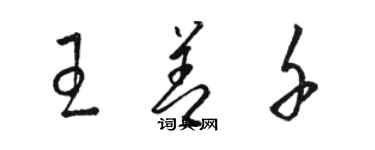 駱恆光王善千草書個性簽名怎么寫