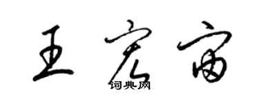 梁錦英王宏宙草書個性簽名怎么寫