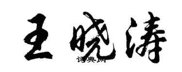 胡問遂王曉濤行書個性簽名怎么寫
