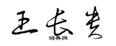 曾慶福王長貴草書個性簽名怎么寫