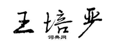 曾慶福王培嚴行書個性簽名怎么寫