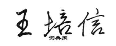 駱恆光王培信行書個性簽名怎么寫